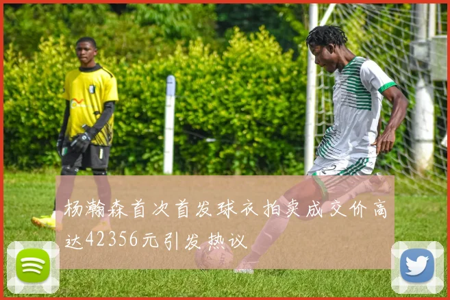 杨瀚森首次首发球衣拍卖成交价高达42356元引发热议