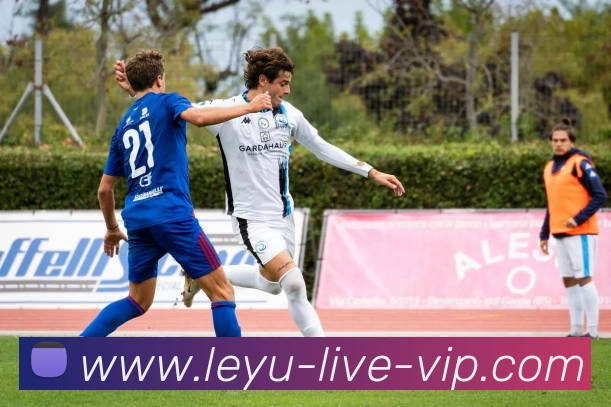 乐鱼体育平台生态图